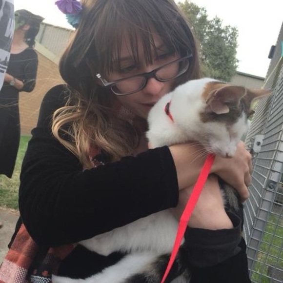 Meet your Posher, Cody - Picture 1 of 1